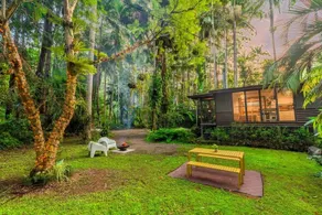 Modern Eco Cabin surrounded in Rainforest - Image 2