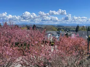 Beauty two bedrooms apartment-Ocean & Mount Baker - Image 5