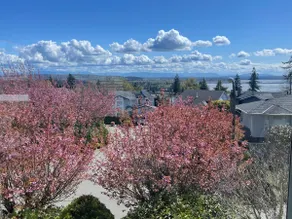 Beauty two bedrooms apartment-Ocean & Mount Baker - Image 3