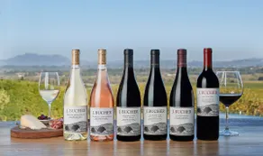 Bucher Vineyard Cottage - Image 2