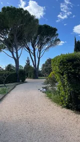 Villa med swimmingpool nær Pont-du-Gard - Image 4