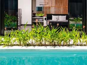 Luxe king studio, hi-speed fiber, pool, kitchen - Image 2