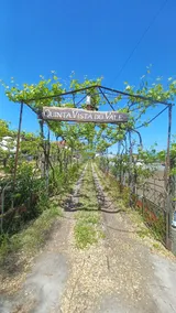 Quinta Vista do Vale - Image 2