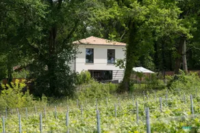 New villa • Heated pool • AC • Vineyard views - Image 4