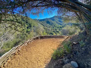Topanga DragonFly House + Creek & Trails - Image 4