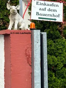 Small but nice in Schwanheim - Image 4