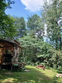 Secluded Woodland Getaway Near Athens - Image 5