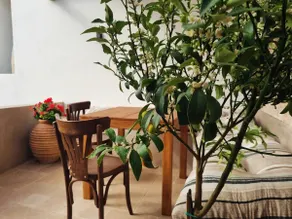 Small Residence in Kythira - Image 5