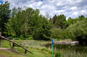 Cozy Pines-Close to Trails & Lakes - Image 2