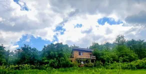 Viveka: Spiritual Retreat, Eco Cabin & Digital Detox - Image 3