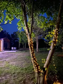 Holiday Cottages - Image 4