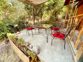 Cabin in native forest - Image 3