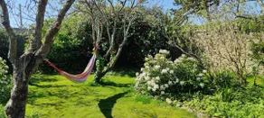 AvelDro House - Pointe du Raz -Garden 4 p. 2 bath. - Image 4