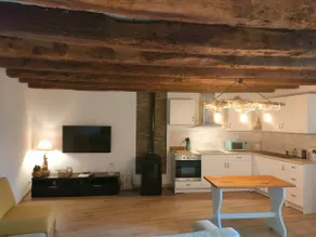 Apartment with a garden - Image 4