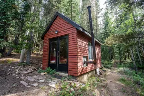 Treehaus Colorado - Image 2