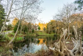 Fairy Pond - Image 4
