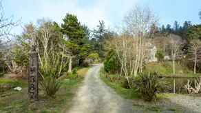 Fairy Pond - Image 3