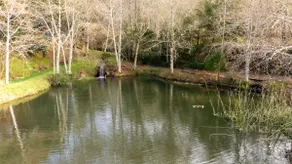 Fairy Pond - Image 5