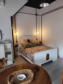 37 m² studio, in an olive grove. - Image 3