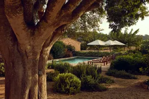 Mallorcan countryside oasis - Image 2