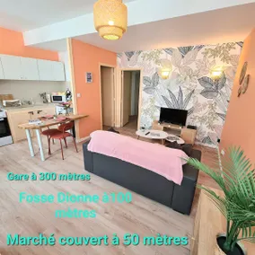 Hosted by Raphaël - Cozy apartment - Image 2