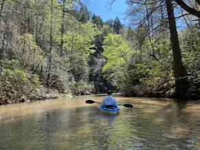 Riverfront Luxe Retreat, 75 Acres, Hike, Kayak - Image 3