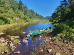 LAVVO Gluba - Image 4