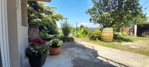 Hortensia - Image 4