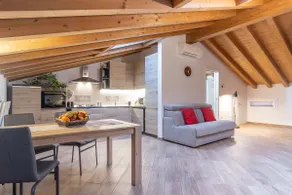 Open space attic - Image 4