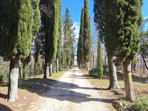 Tuscan Countryside Home with Piano - Image 2