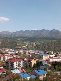 Deniz Dağdeviren - Image 2