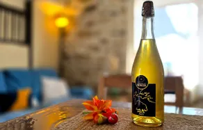 ”Chez Coco” cottage, Crozon peninsula (3 people) - Image 4