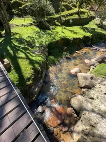 Sossego da Mata Cabin 1 - comfort and nature - Image 5