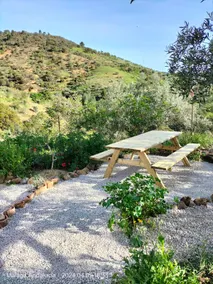 The Polifinca (2) shepherd's house (glamping) - Image 5