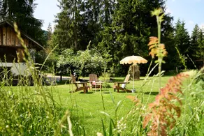 The Habitat - Yoga | Hiking | Cross-country skiing - Image 5