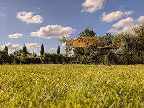 San Gimignano and Volterra - Pets allowed - Image 4