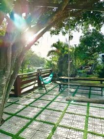 SATURDAY Homestay Tuy Hòa - Phú Yên - Image 3