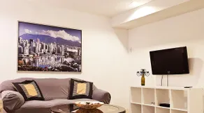 Epic Guest Suite in Newton - Image 4
