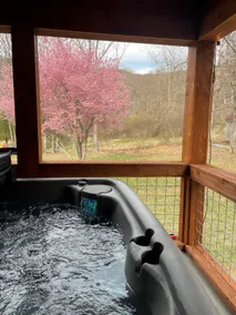 Hot Tub*Near National Park & Massanutten*42 Acres - Image 5