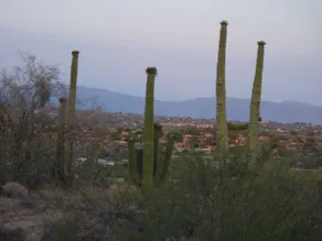 Desert Views House, Quiet, Hot Tub, Pet Free - Image 2