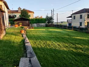 The vineyard - Image 5