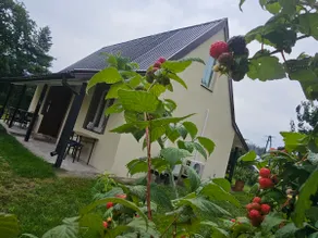 House above the pond - Image 4
