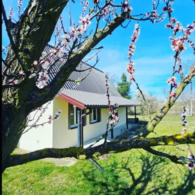 House above the pond - Image 3