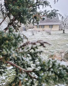 House above the pond - Image 2