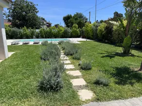 Casa del Sol Luxury Estate Puglia - Image 3