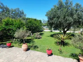 Kanaliblue - Image 5