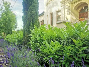 Mansion apartment/Oregano - Image 5