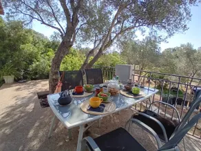 House under the olive trees / Casa d'Iloa - Image 2