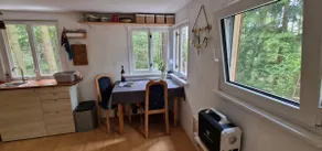 The Shack in the Forest - Image 5
