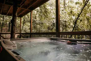 Private Trail, Hot Tub, Sauna, Firepit, Indoor Gym - Image 5